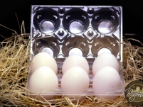 Huevos de Gallina XL Blancos frescos